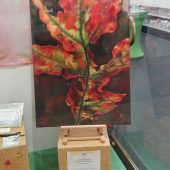 Schaufenster Mülheim 7